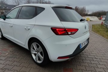 Piękny Leon! Polecam!